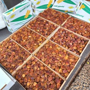 Kurma Sukari Al Qaseem