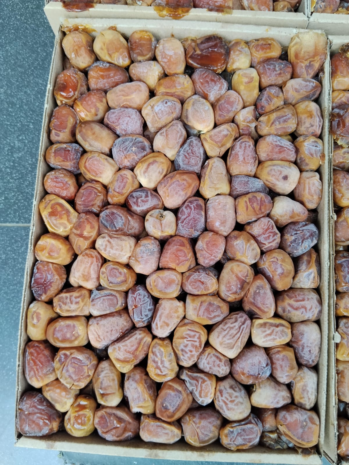 Kurma Sukari
